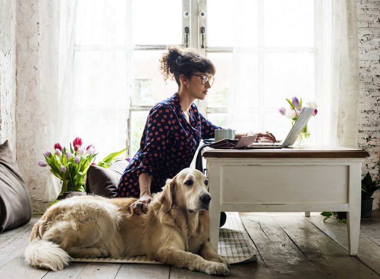 kobieta pracujaca przy laptopie z psem